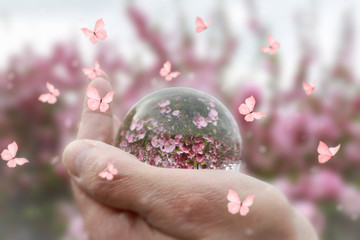 Butterflies flying around a woman’s hand holding a glass ball reflecting pink flowers 