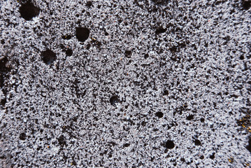 Old concrete, abstract background. Rustic old concrete.