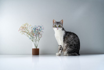 Red domestic cat sits on a table near a bouquet of delicate flowers
