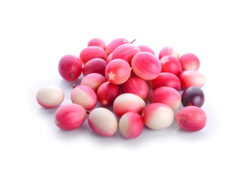 bengal-currants, carandas-plum, on a white background