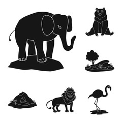 Vector design of fauna and entertainment icon. Collection of fauna and park stock vector illustration.