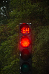 Red traffic light at day number 164