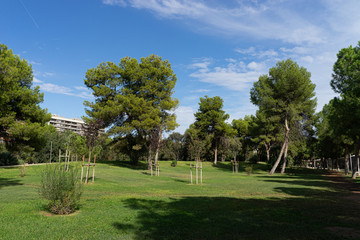Beautiful green city park in the morning. Valencia, Spain