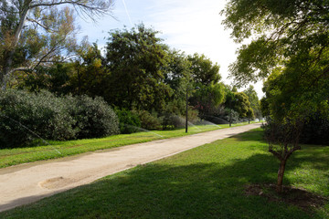 Fototapeta na wymiar Path in beautiful green city park in the morning. Valencia, Spain