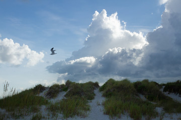 Stormy Skies at the Beach