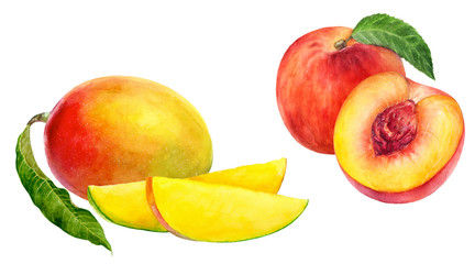 Peach mango set watercolor isolated on white background
