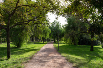Path in beautiful green city park in the morning. Valencia, Spain