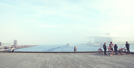 Sea view from Copenhagen port  havn