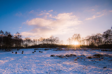 nine ladies stone circle in snow at sunset