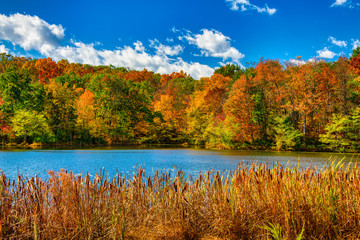 Autumn lake scene