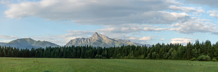 Panorama of High Tatras with prominent mount Krivan peak Slovak symbol in centre, meadow and coniferous trees forest at foreground