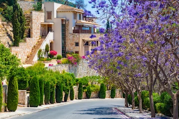 Poster Republiek Cyprus. Pissouri dorp. De weg gaat langs bloeiende bomen. Flora Van Cyprus. Helder landschap van het dorp Pissouri. Pittoresk huis van gele stenen. Bomen met lila bloemen. © Grispb