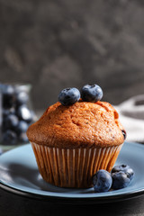 Plate with tasty muffin and blueberries on grey table, closeup