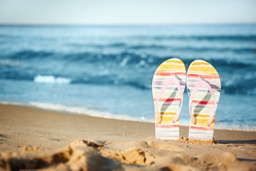 Stylish flip flops on sand near sea, space for text. Beach accessories