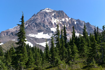 Obraz premium A summer time view of the Northwest side of Mt. Hood from the timberline trail. Visable is what is left of the Glisan Glacier and Pulpit Rock.