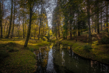 Fototapeta na wymiar Bonita paisagem e lago na floresta no outono