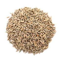 Pile of rye grains on white background, top view. Cereal crop