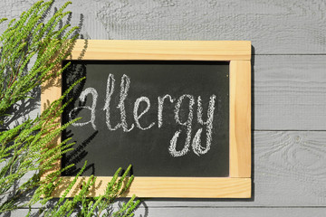 Ragweed plant (Ambrosia genus) and chalkboard with word "ALLERGY" on light wooden background, flat lay