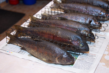Fresh smoked fish in a smokehouse: carps, trouts