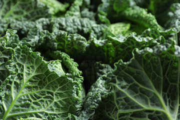 Fresh green savoy cabbages as background, closeup