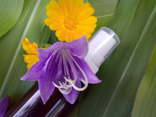 Bottle with flowers on a background of leaves