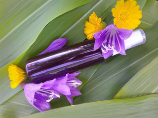 Bottle with flowers on a background of leaves