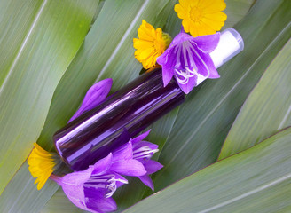 Bottle with flowers on a background of leaves