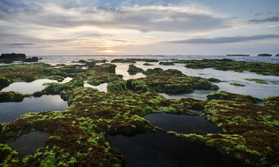 Obraz premium Bali island landscape sunset seaside view. Rock with seawead and black sand in long exposure