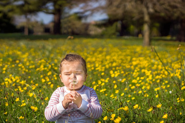 Young girl blowing dandelion on meadow, summer day, blurred background