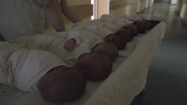 Nurses delivering newborn babies on trolley bed in maternity ward. Stedicam shot.