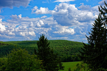Summer bright day in the Bavarian forest