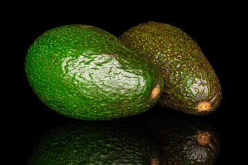 Group of two whole fresh green avocado isolated on black glass