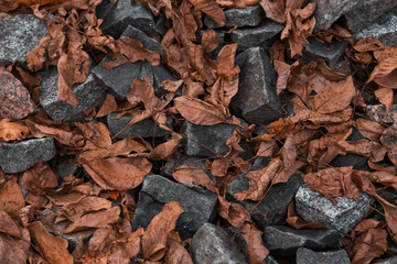 A lot of colorful stones on the shore. Rocky shore background. Granite, gravel on the beach with autumn yellow leaves. Grey brown colors of stones on seaside. Texture of natural granite.