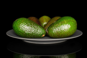 Group of five whole fresh green avocado on gray ceramic plate isolated on black glass