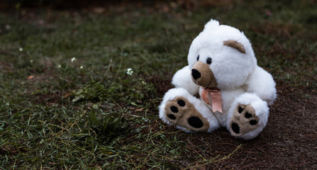 Cute adorable lost abandoned soft plush stuffed children toy teddy bear sitting on ground street road. In park outdoor. Lost lonely toy outside