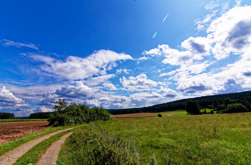 Beautiful sky with clouds over field near forest