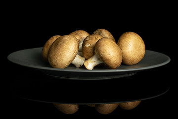 Group of six whole fresh brown champignon on gray ceramic plate isolated on black glass