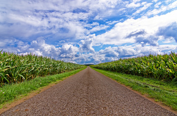 Beautiful sky with clouds over field near forest