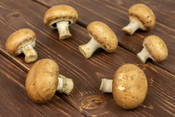 Group of seven whole fresh brown champignon on brown wood