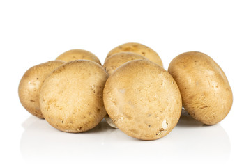 Group of six whole fresh brown champignon isolated on white background