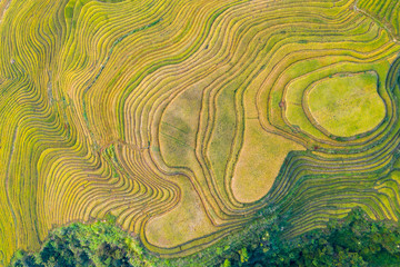Longji Rice terraces China aerial View 