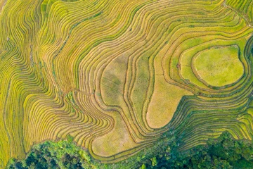 Fotobehang Longji Rice terraces China aerial View  © NEWTRAVELDREAMS