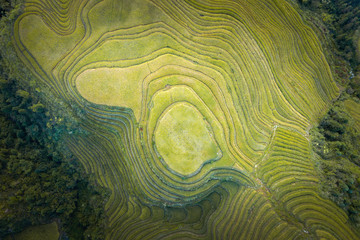 Longji Rice terraces China aerial View 