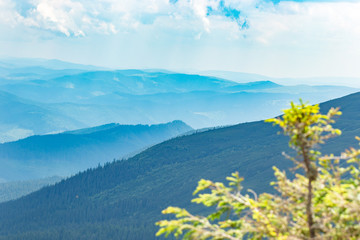 Summer Carpathian mountains in sunny day. Beautiful panorama nature backdrop with cloudy blue sky on background