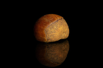 One whole sweet brown chestnut isolated on black glass