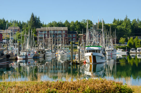 Ucluelet Harbor Canada