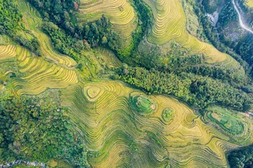 Papier Peint photo Guilin Longji Rice terraces China aerial View 