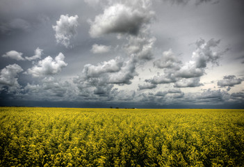 Prairie Storm Clouds Canada