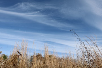 blue sky in autumn