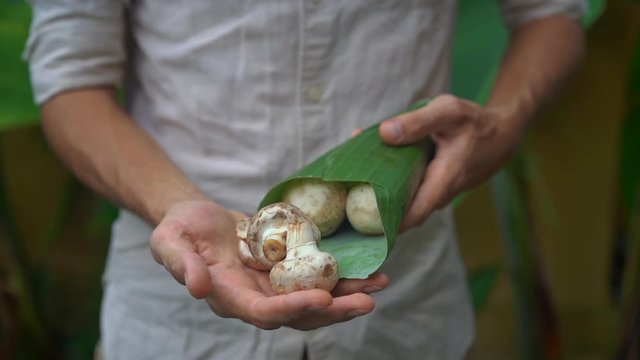 Eco-friendly product packaging concept. Vegetables wrapped in a banana leaf, as an alternative to a plastic bag. Zero waste concept. Alternative packaging